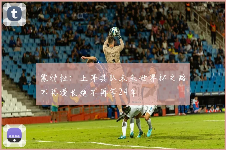 蒙特拉：土耳其队未来世界杯之路不再漫长绝不再等24年